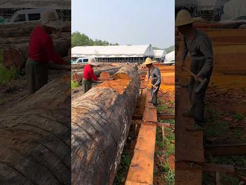 タヴァイヨンのファサード (フランス、オージュラ)