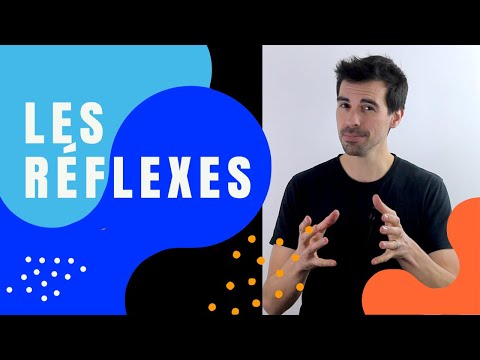 COURS DE TERMINALE SPÉCIALITÉ SVT CHAP.14: LES RÉFLEXES - Bio Logique-