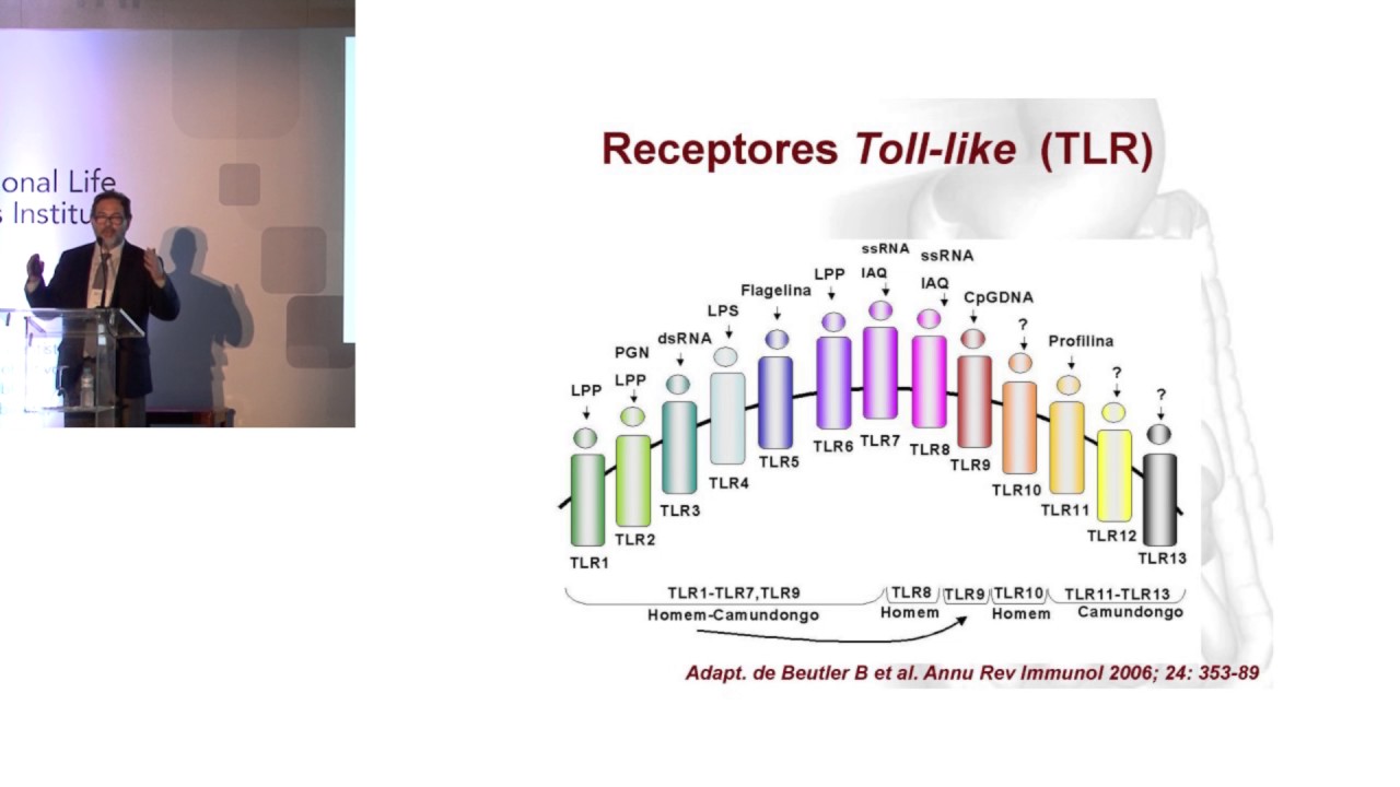 ILSI Brasil: Barreira Intestinal, Microbioma e Saúde (Dr. Aderson Damião FM/USP)