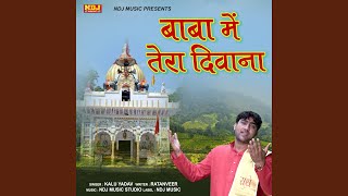 Baba Mein Te Tera Deewana Re song artwork