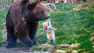 Risking its life, the bear brought the baby to people. Why the animal did it is simply incredible!