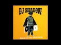 Dj-Shadow Blood on the Motorway