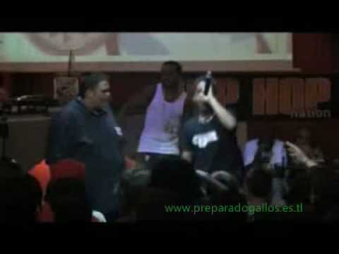 Criterioh VS Sistema Pereira - www.preparadogallos.es.tl