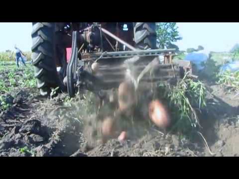 A homemade homemade potato screen