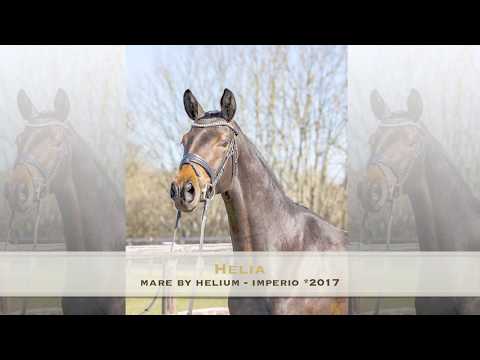 Helia *2017 Mare by Helium - Imperio