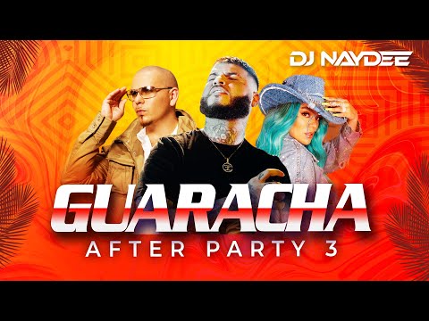 El Incomprendido, Farruko, Pitbull, Karol G | Guaracha Mix 2021 |  After Party 3 by DJ Naydee