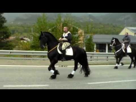 2^P. SFILATA DI CAVALLI : FIERA DI S. LUCA DEMONTE (CN) 12 - 10 - 2014.