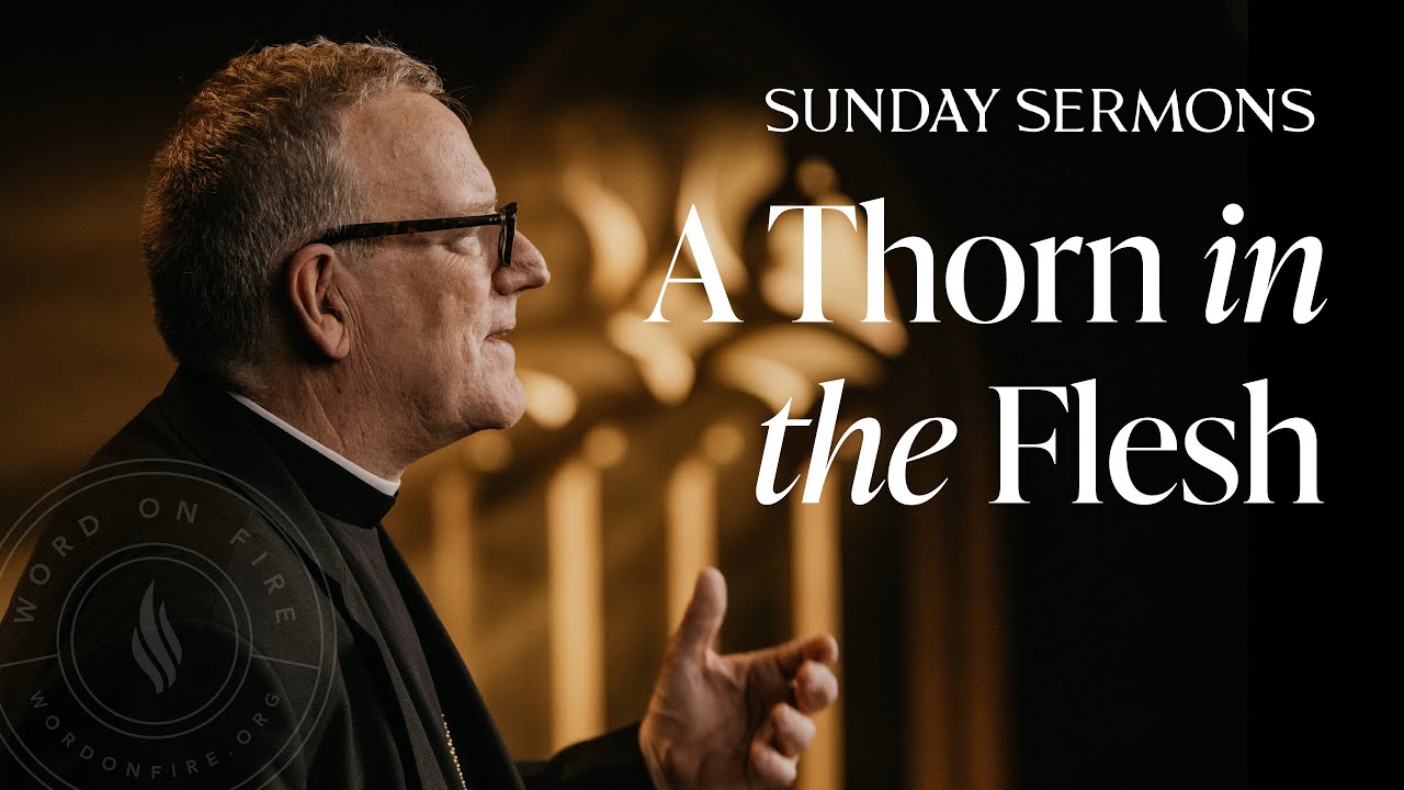A Thorn in the Flesh - Bishop Barron's Sunday Sermon