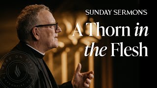 Download lagu A Thorn in the Flesh - Bishop Barron's Sunday Sermon mp3 Download lagu A Thorn in the Flesh - Bishop Barron's Sunday Sermon mp3