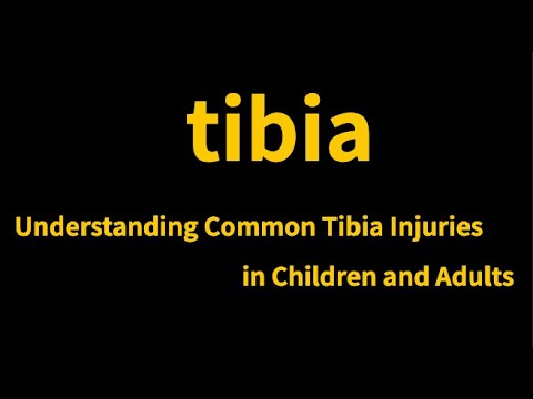 tibia