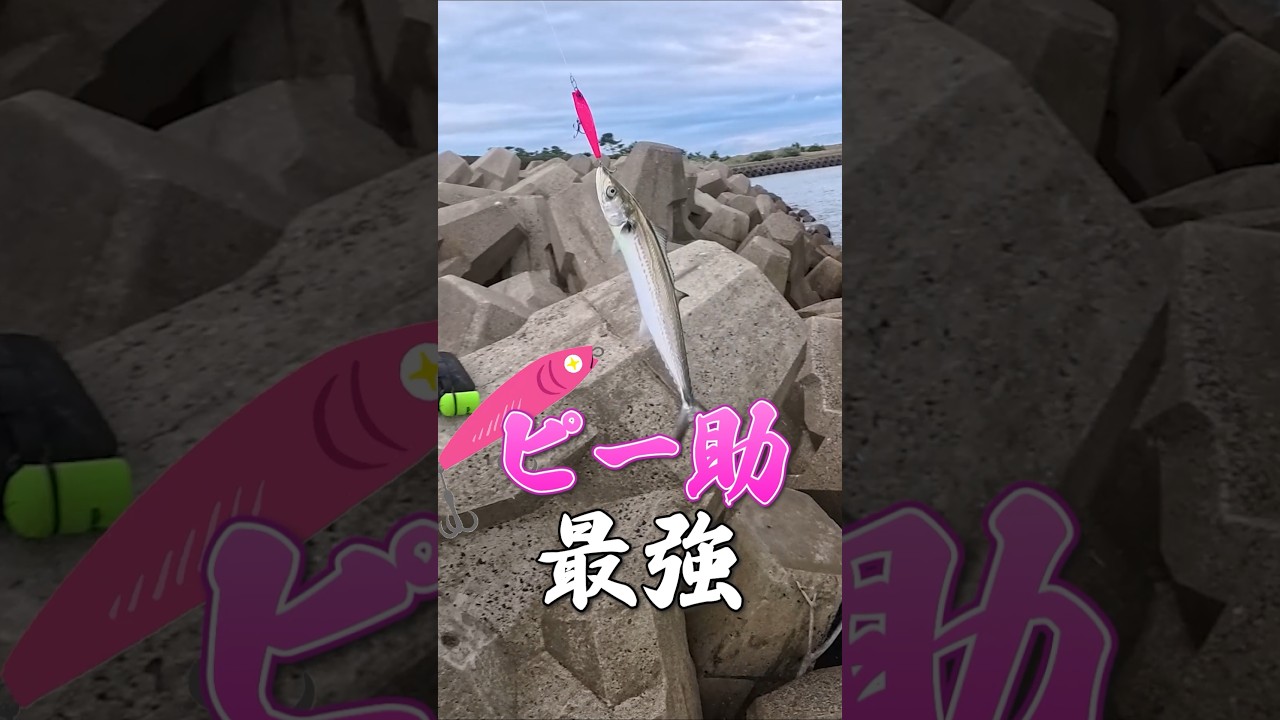 拾ったルアーで釣れる魚制覇していきたい #ヘビさんのアウトドア日誌