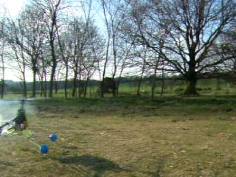 shuttle 30 helicopter for sale 002.avi