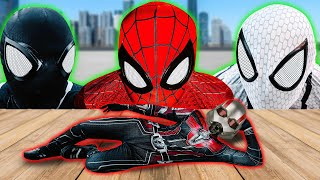 TEAM SPIDER-MAN vs BAD GUY TEAM | ANT-MAN 2.0 ??? ( Live Action )