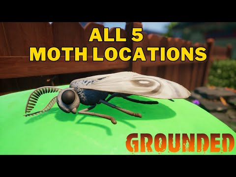 All 5 Moth Locations in Grounded | Where To Find Moths in Grounded