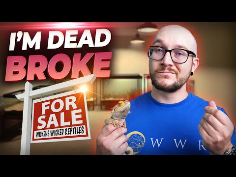 I Went DEAD BROKE Breeding Reptiles and You Might Too!