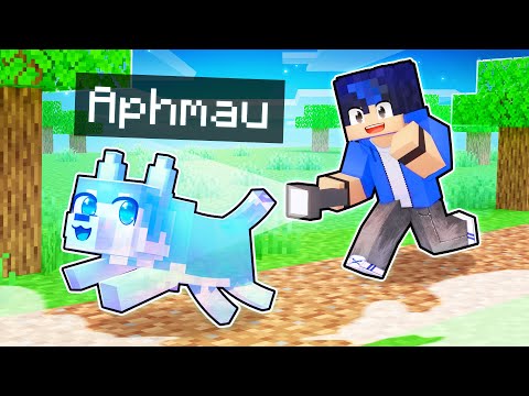 Playing as a Helpful GHOST Dog In Minecraft!