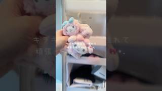 憧れの生活のために頑張るvlog🎀⋆꙳#生活音 #vlog