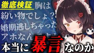 【徹底検証】戌亥とこは本当に暴言を吐いているのか【にじさんじ切り抜き／戌亥とこ】@niji_invest