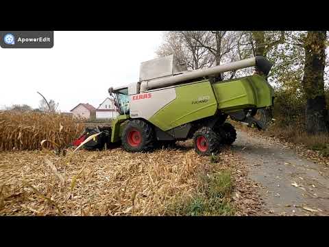 Kukurydza na ziarno 2022 Malopolska Claas Case Landini New Holland