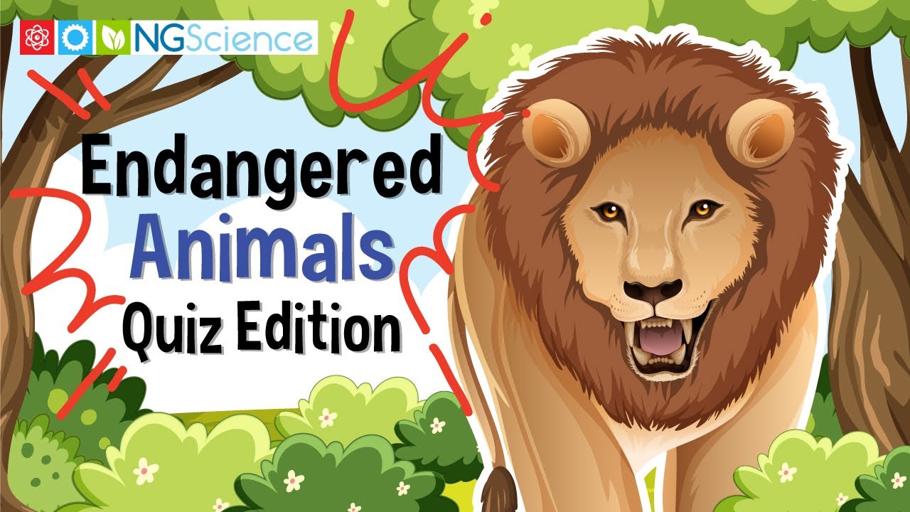 Endangered Animals – Quiz Edition