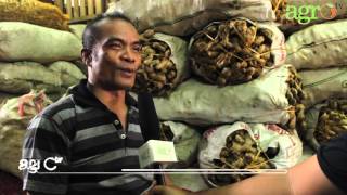 Download lagu Agro TV-Bisnis Bumbu Dapur Tak Pernah Kendur mp3