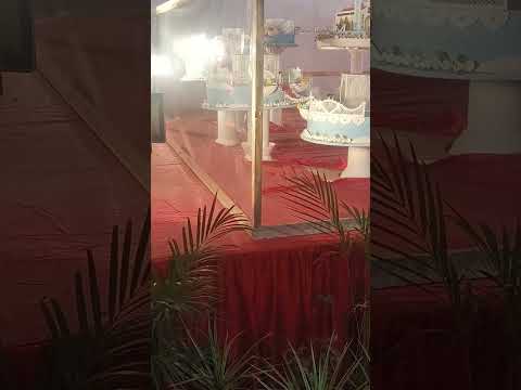 Beautiful Miniature Designs Cake This kind Of Cakes In Cake Show 2023#drvinbonsaipilla 31/12/23