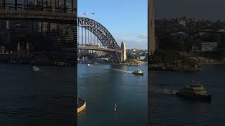 Day 10 : Finale : 10 Days of Cruise Life #shorts #cruise