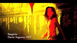 CONVERSATIONS WITH EMILY VISUAL INFLUENCES