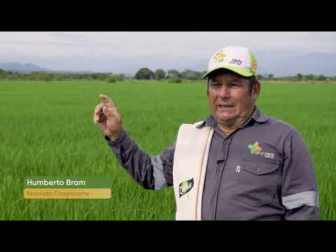 Historia del asociado Humberto Bram en Coagronorte