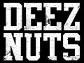 Deez Nuts 8 Bit - Party Song 