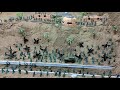Army Men:Grey army bunkers assault (plastic army men stopmotion)