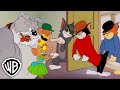 Tom Jerry With A Little Help From Their Friends Tom Jerry GenerationWB