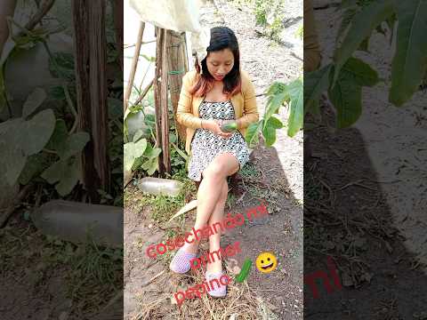 corté mi primer pepino 🥒😃 #amor