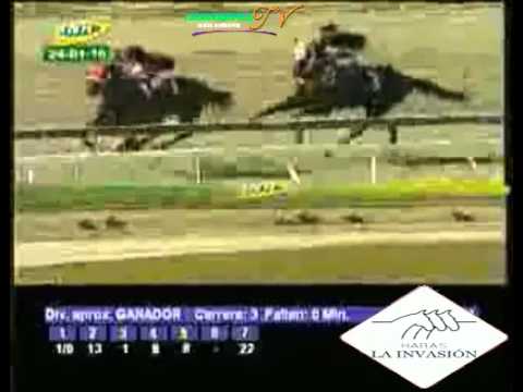 LA RINCONADA 3 CARRERA, DOMINGO 24 DE ENERO DEL 2016