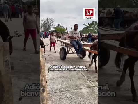 Gobernador de Bolívar Yamil Arana Padauí, forjando la transformación de Magangué.