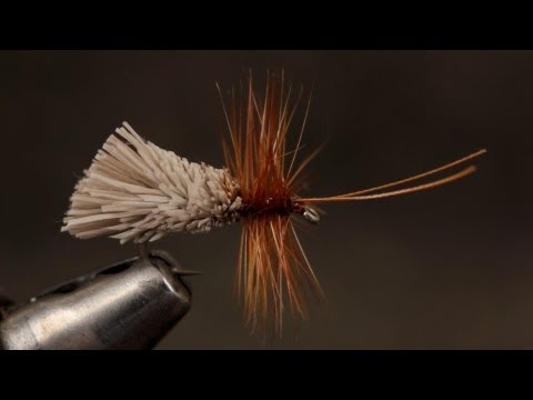 Goddard Caddis