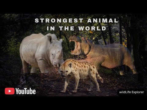 10 Strongest Animals in the World– You Won’t Believe #1!