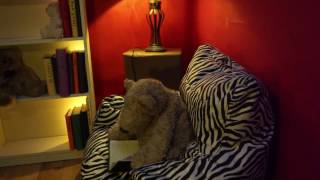 Owl City  -  Plant Life (Unofficial Video)