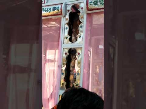 Mai sabse Badi hi tu prince dhamaal party Jabalpur