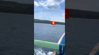 Download lagu Apakah Kalian Tahu Yang dilakukan Rusa ituβοΈ #shorts #viralvideo #shortsfeed mp3 Download lagu Apakah Kalian Tahu Yang dilakukan Rusa ituβοΈ #shorts #viralvideo #shortsfeed mp3