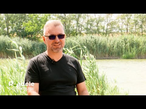 Seră automatizată, Trandafirii iarna, Delta Moldovei, Ciuboțica-cucului (04 12 2022)