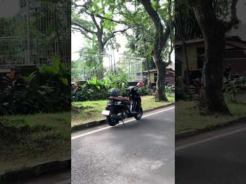 Honda Stylo 160 Glam Black Simple Minimalis #hondastylo160 #hondastylo