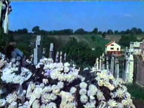 MÚZEUM ŽIVOTA 11 - Tušenie stratených skutočností (1. časť)