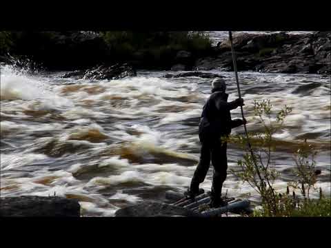 Lippoaja Kukkolankoskella