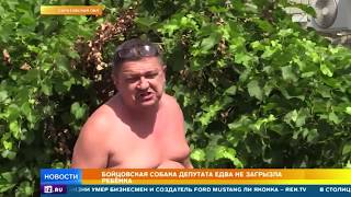 Бойцовская собака саратовского депутата едва не загрызла ребенка