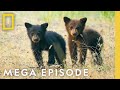 The Wonder of America's National Parks | MEGA EPISODE (Season 1 Full Episodes) | National Geographic DEFAULT Thumbnail