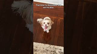 Skinwalker dog eats human #dogs