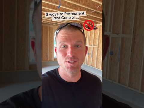 3 ways to Permanent Pest Control…🪳