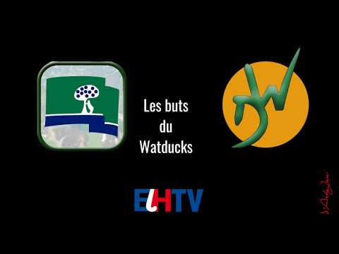 EuroHockey Indoor | Campo Madrid vs. Watducks 5 - 4