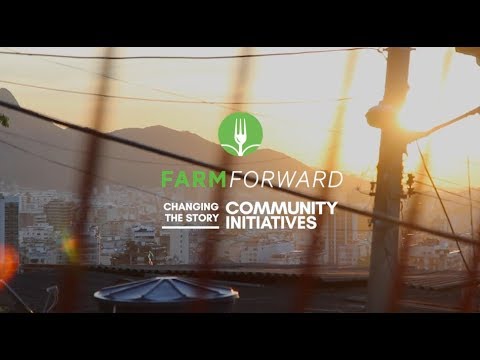 Changing the Story: Community Initiatives
